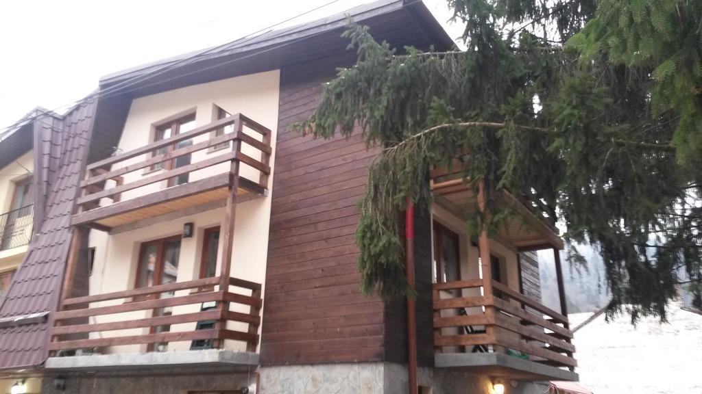 La Buni Buşteni Exteriér fotografie