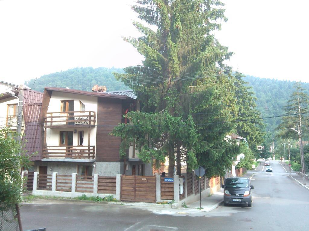 La Buni Buşteni Exteriér fotografie